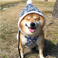 个性头像粉系7 个性头像粉系7