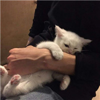 海贼王本子好看头像5