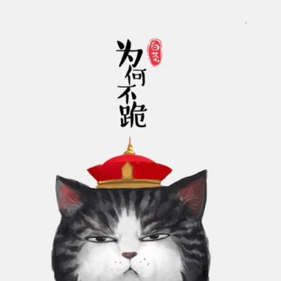 小熊召唤小仙女头像1