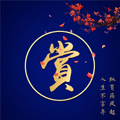 针头像什么时候14