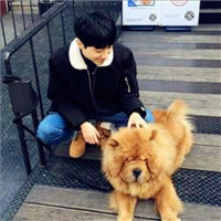 男生头像QQ13