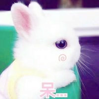 用老婆头像当微信头像说明什么13