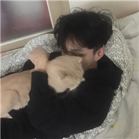 抖音火的头像小女孩和猫2