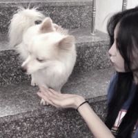 扣扣头像女生唯美侧面8