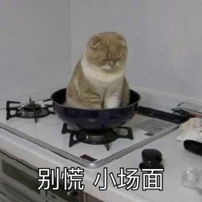 猪猪侠图片头像可爱5