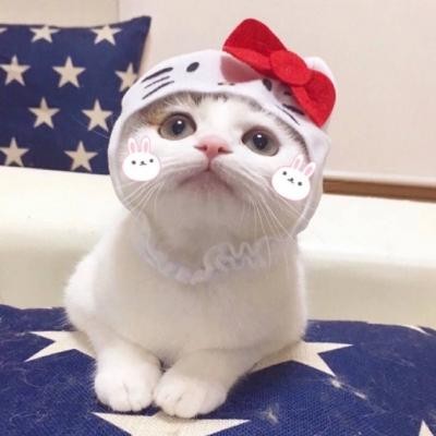仙女可爱头像部位11