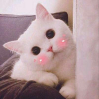 伤心的头像和昵称9