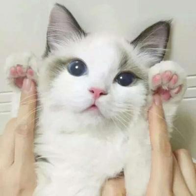 个性头像图片早安问候11