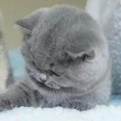 搞笑图片的图片头像7