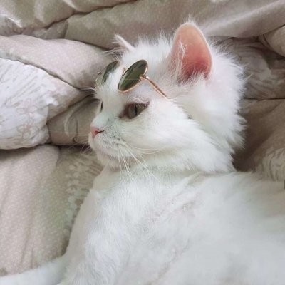 什么头像看着很潮流4