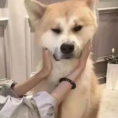 男头像兄弟头像动漫7