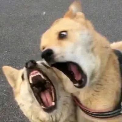 高端大气的头像8