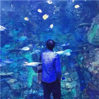 大学生帅哥挡头头像10