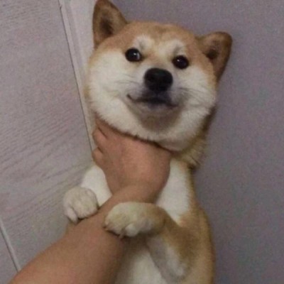 好听网名加好看头像真人6
