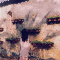 qq头像狗狗搞笑图片4
