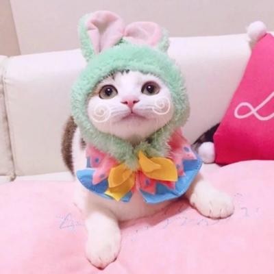 那年那兔那些事第五季头像6