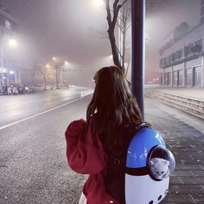 那些年那些事那些兔头像7