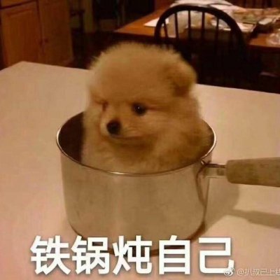 马拉多纳经典图片头像女高级8