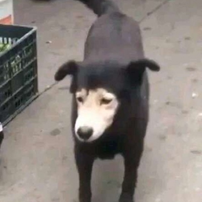 微信头像情侣黑白头像图片1