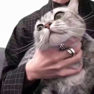 王凯微信头像11