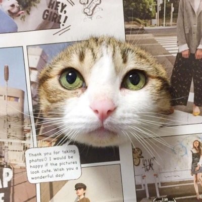 郑州小猪头像的抖音用户2