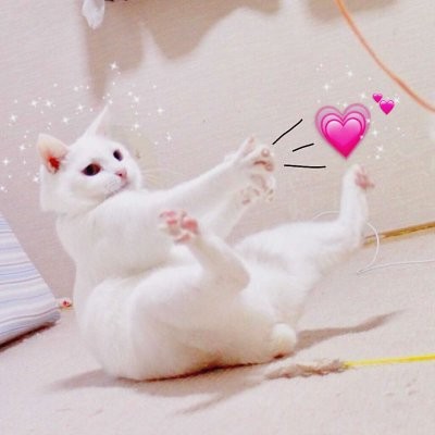 只想快乐头像7