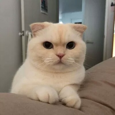 qq个性头像唯美清纯1
