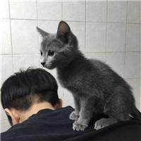 漫画姐妹一对头像两张8