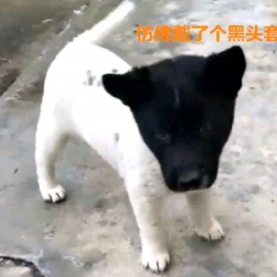 好看头像无水印简洁8