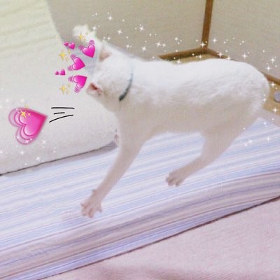 缺土的女孩用什么头像6