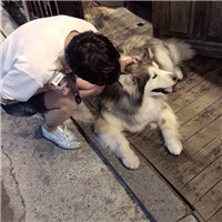 甜味小仙女头像背影真人7