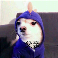 摧毁片头6