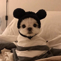 q版卡通无赖头像8