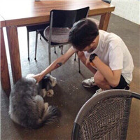 阿离头像经典合集3