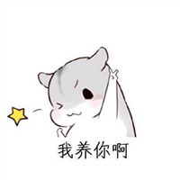 头条都有哪些头像框1